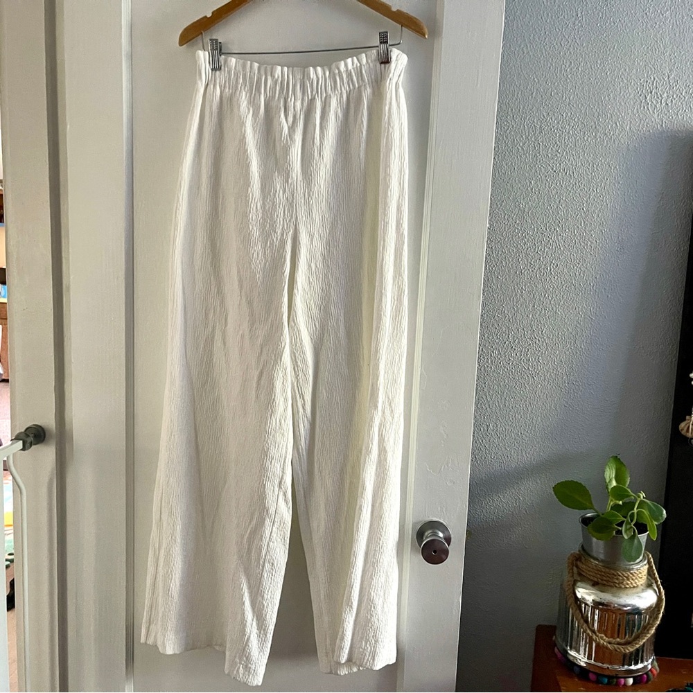 Zara Crinkle Gauze Wide Leg Pant